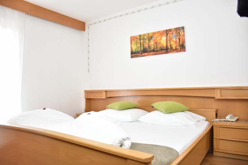 Almhotel Bergerhof