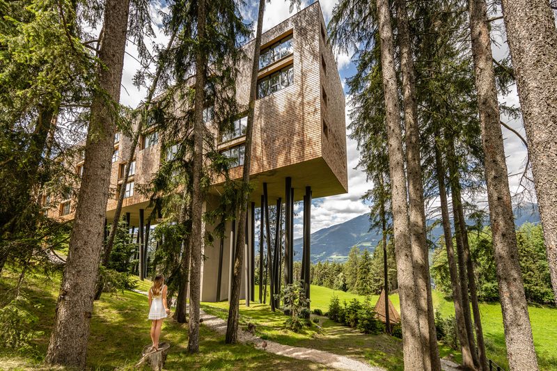 My Arbor - Dolomites